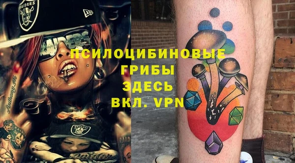 ПСИЛОЦИБИНОВЫЕ ГРИБЫ Абдулино